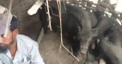सामान्य विवादमा सुंगुरको खोरमा थुनेर अंसारी माथि कुटपिट