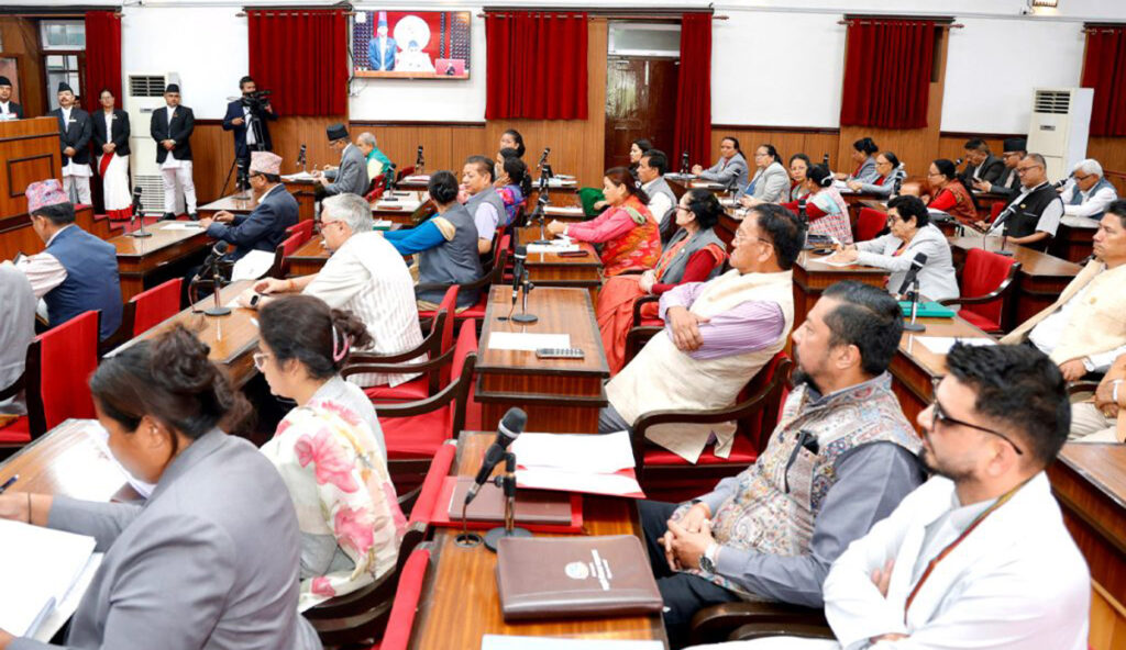 महँगीदेखि सीमा सुरक्षा र न्यायसम्मका मुद्दामा सांसदहरूले सरकारको ध्यानाकर्षण गराए